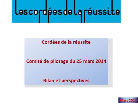 Comité de pilotage du 25 mars 2014