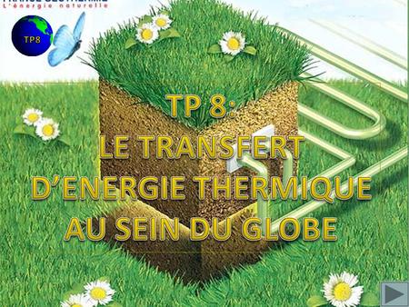 TP 8: LE TRANSFERT D’ENERGIE THERMIQUE AU SEIN DU GLOBE