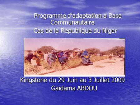 Programme dadaptation a Base Communautaire Programme dadaptation a Base Communautaire Cas de la Republique du Niger Cas de la Republique du Niger Kingstone.