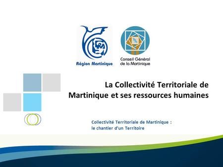 La Collectivité Territoriale de Martinique et ses ressources humaines