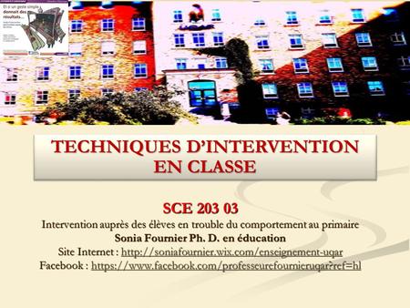 TECHNIQUES D’INTERVENTION EN CLASSE Sonia Fournier Ph. D. en éducation