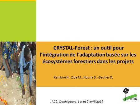 CRYSTAL-Forest : un outil pour l’intégration de l’adaptation basée sur les écosystèmes forestiers dans les projets Kambiré H., Zida M., Houria D., Gautier.