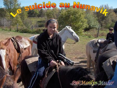 Le suicide au Nunavik Par Marilyn Mesher.