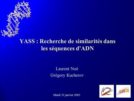 YASS : Recherche de similarités dans les séquences d'ADN