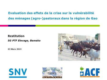 Restitution SG PTF Elevage, Bamako 03 Mars 2014 Evaluation des effets de la crise sur la vulnérabilité des ménages (agro-)pastoraux dans la région de Gao.