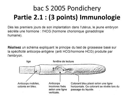 bac S 2005 Pondichery Partie 2.1 : (3 points) Immunologie