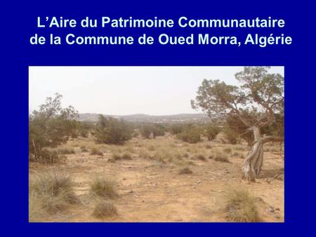 L’Aire du Patrimoine Communautaire (APC) de la Commune de Oued Morra se trouve dans l'Atlas Saharien à environ 500 km de Alger. La délimitation de l’APC.