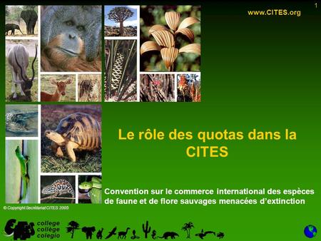 1 Le rôle des quotas dans la CITES www.CITES.org © Copyright Secrétariat CITES 2005 Convention sur le commerce international des espèces de faune et de.