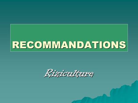 RECOMMANDATIONS Riziculture. I. RECOMMANDATIONS AU PROJET - Appui à lélaboration et à la mise en œuvre de la stratégie nationale pour le développement.