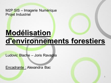Modélisation d'environnements forestiers