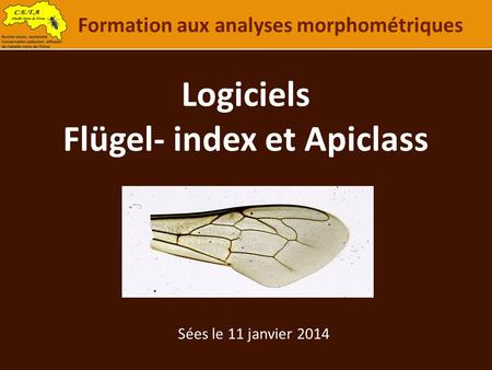 Logiciels Flügel- index et Apiclass
