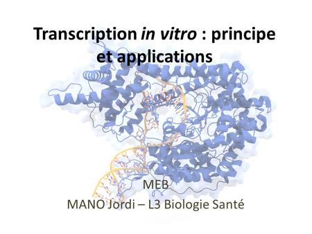 Transcription in vitro : principe et applications