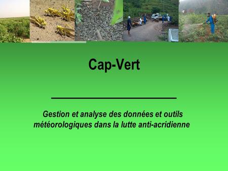 Cap-Vert Gestion et analyse des données et outils météorologiques dans la lutte anti-acridienne.