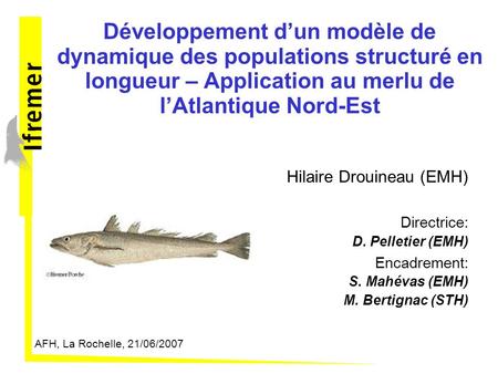 Développement d’un modèle de dynamique des populations structuré en longueur – Application au merlu de l’Atlantique Nord-Est Hilaire Drouineau (EMH)‏ Directrice:
