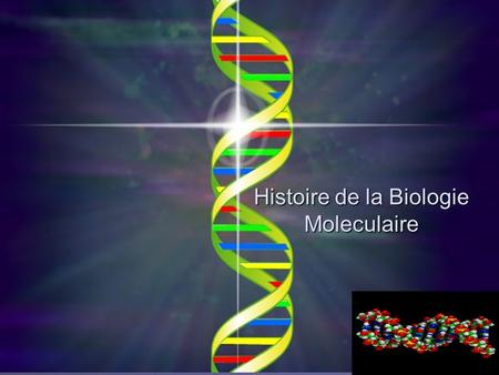 Histoire de la Biologie Moleculaire. Les gènes sont sur les chromosomes proteines Ou ADN.
