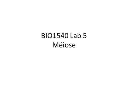 BIO1540 Lab 5 Méiose.
