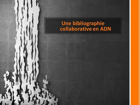 Une bibliographie collaborative en ADN. UNE BIBLIOGRAPHIE COLLABORATIVE EN ADN Flavia Machado (Universités de São Paulo et Paris 13)