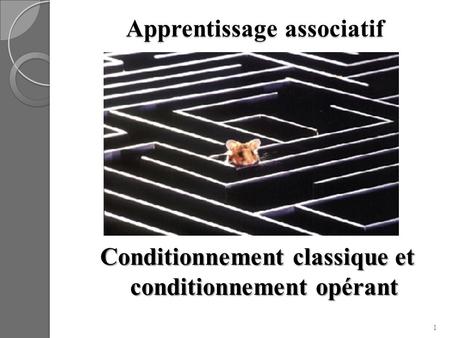Apprentissage associatif