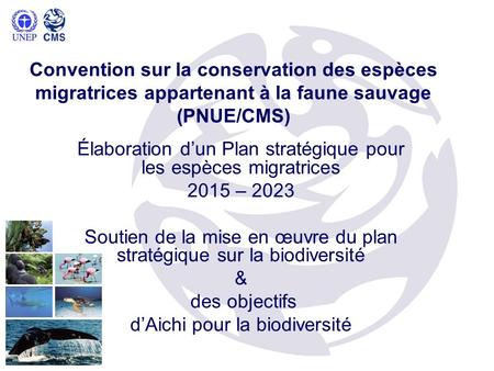 Convention sur la conservation des espèces migratrices appartenant à la faune sauvage (PNUE/CMS) Élaboration dun Plan stratégique pour les espèces migratrices.