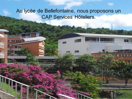 Au lycée de Bellefontaine, nous proposons un CAP Services Hôteliers.