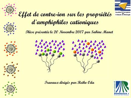 Effet de contre-ion sur les propriétés d'amphiphiles cationiques Thèse présentée le 20 Novembre 2007 par Sabine Manet Travaux dirigés par Reiko Oda.