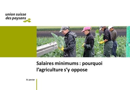 31 janvier Salaires minimums : pourquoi lagriculture sy oppose.