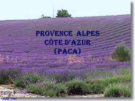 Provence Alpes Côte d’Azur (PACA)