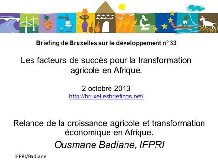 IFPRI/Badiane Briefing de Bruxelles sur le développement n° 33 Les facteurs de succès pour la transformation agricole en Afrique. 2 octobre 2013