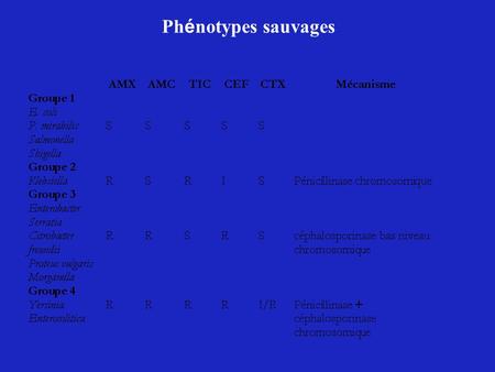 Phénotypes sauvages.