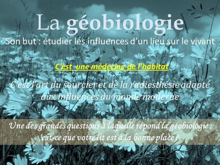 La géobiologie : médecine de l’habitat