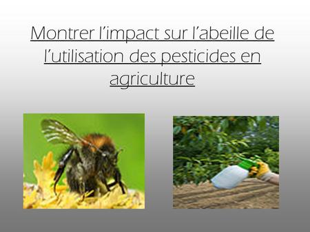 Montrer limpact sur labeille de lutilisation des pesticides en agriculture.