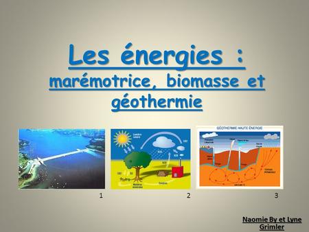 Les énergies : marémotrice, biomasse et géothermie