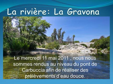 La rivière: La Gravona Le mercredi 11 mai 2011 , nous nous sommes rendus au niveau du pont de Carbuccia afin de réaliser des prélèvements d’eau douce.