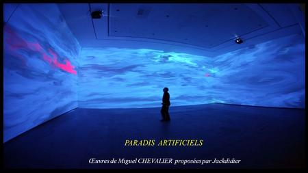 PARADIS ARTIFICIELS Œuvres de Miguel CHEVALIER proposées par Jackdidier.