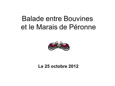 Balade entre Bouvines et le Marais de Péronne Le 25 octobre 2012.