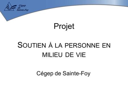 Projet S OUTIEN À LA PERSONNE EN MILIEU DE VIE Cégep de Sainte-Foy.