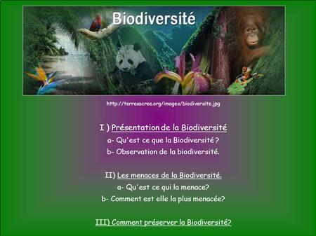 I ) Présentation de la Biodiversité