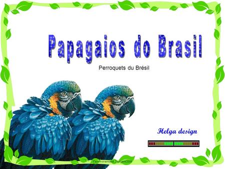 Helga design Perroquets du Brésil Fern Archambault, 3 octobre 2008.