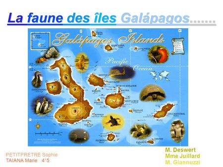 La faune des îles Galápagos
