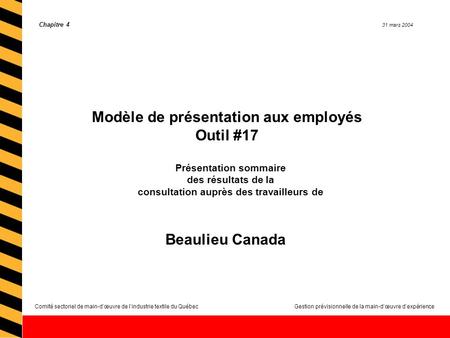 Comité sectoriel de main-dœuvre de lindustrie textile du QuébecGestion prévisionnelle de la main-dœuvre dexpérience Chapitre 4 31 mars 2004 Présentation.