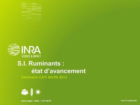 S.I. Ruminants : état d’avancement Séminaire CATI SICPA 2013