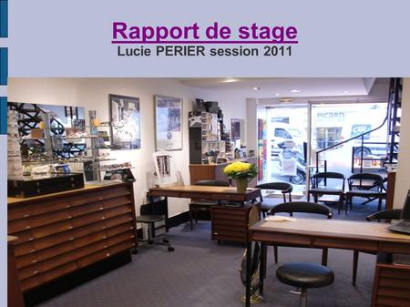 Rapport de stage Lucie PERIER session 2011