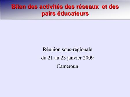 Bilan des activités des réseaux et des pairs éducateurs Réunion sous-régionale du 21 au 23 janvier 2009 Cameroun.