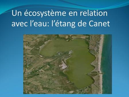 Un écosystème en relation avec l’eau: l’étang de Canet
