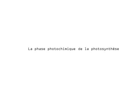 La phase photochimique de la photosynthèse