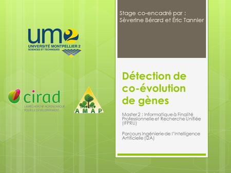 Détection de co-évolution de gènes Master 2 : Informatique à Finalité Professionnelle et Recherche Unifiée (IFPRU) Parcours Ingénierie de lIntelligence.