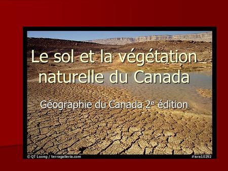 Le sol et la végétation naturelle du Canada