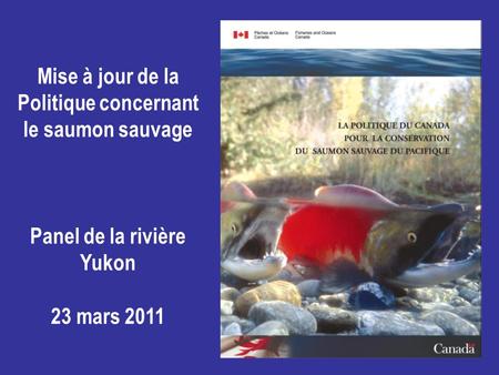 Mise à jour de la Politique concernant le saumon sauvage Panel de la rivière Yukon 23 mars 2011.