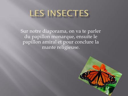 Les insectes Sur notre diaporama, on va te parler du papillon monarque, ensuite le papillon amiral et pour conclure la mante religieuse.