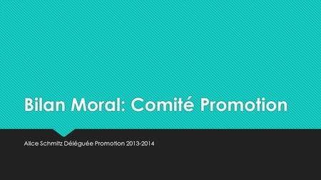 Bilan Moral: Comité Promotion Alice Schmitz Déléguée Promotion 2013-2014.